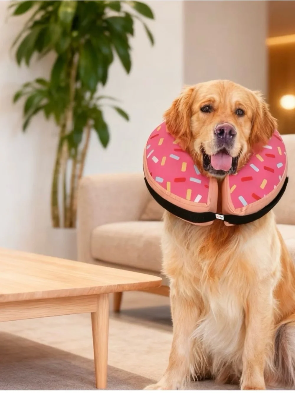 Inflatable Dog Recovery Collar Cone Pink Sprinkles Donut Design size Large NIB
